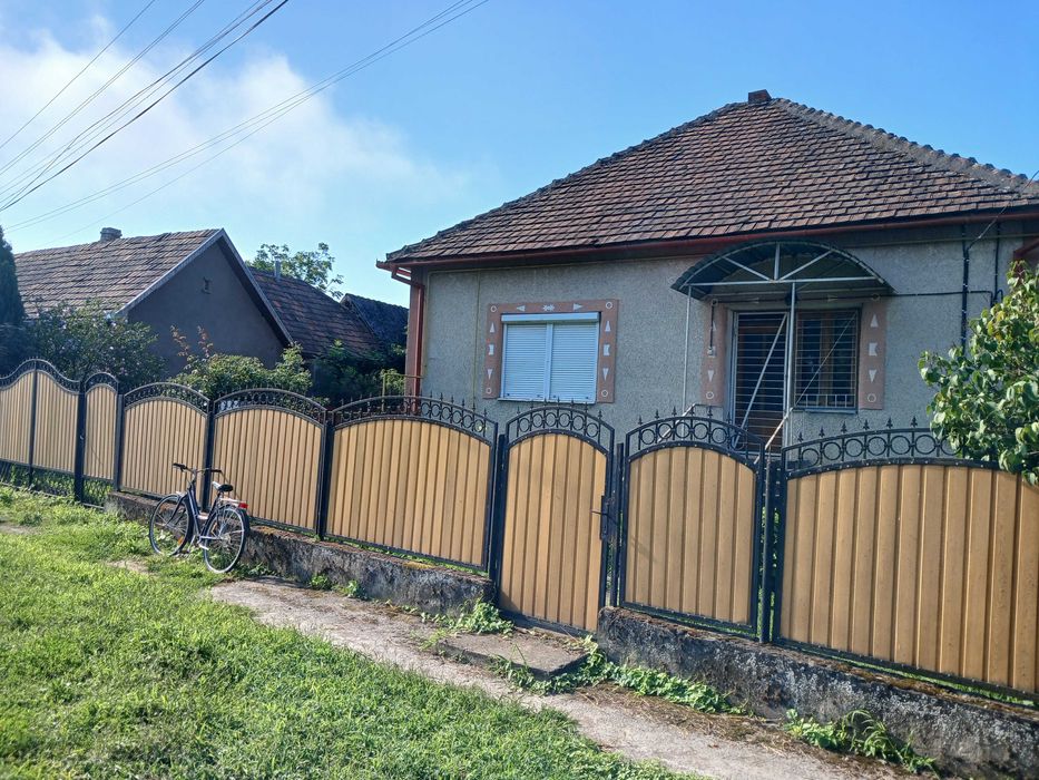 Будинок під бізнес та житло в затишному селі Берегівщини (ліс, озеро).