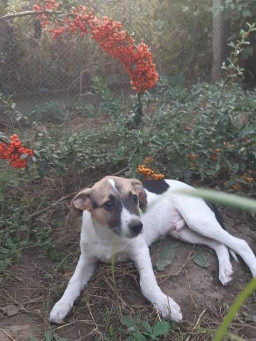 Славная девчушка ждет свою семью