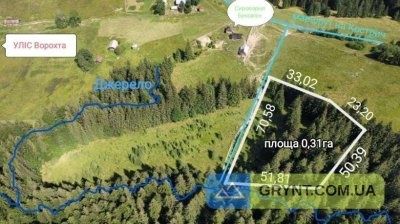 Земельна ділянка оточена лісом