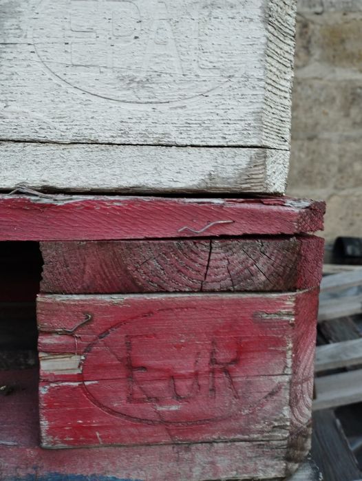 Palety Euro możliwa dostawa