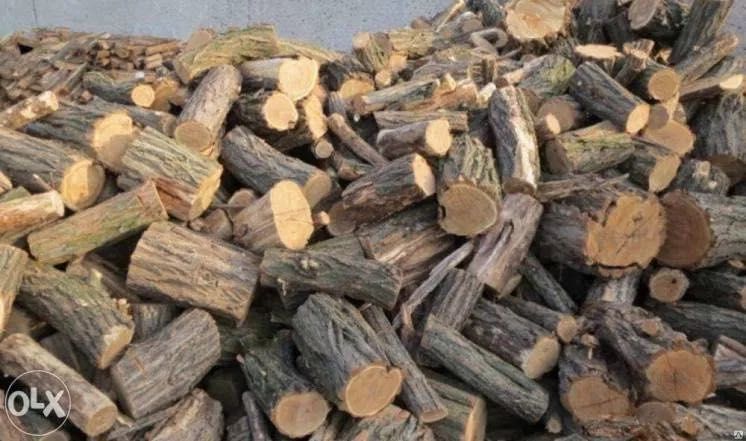 ДРОВА ДУБ чурка Доставка Без Предоплаты!!