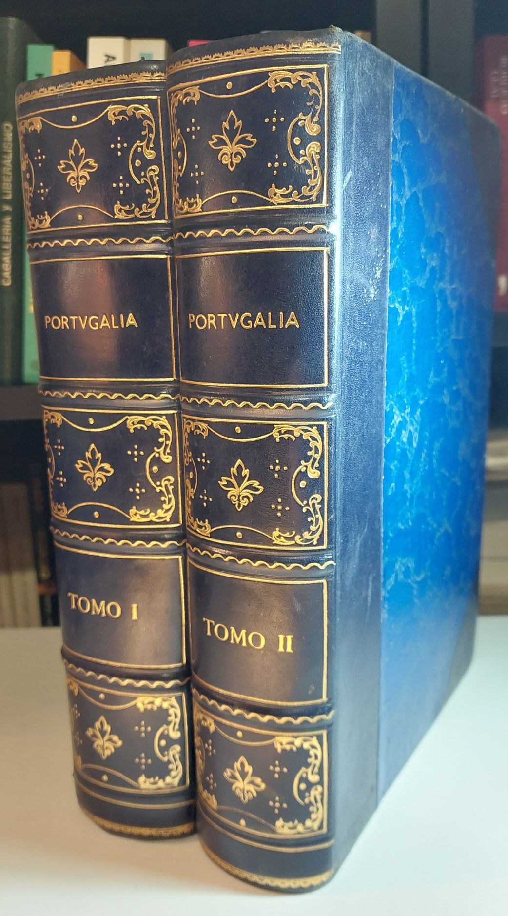 Portugalia, Materiaes para o Estudo do Povo Portuguez - Ricardo Severo