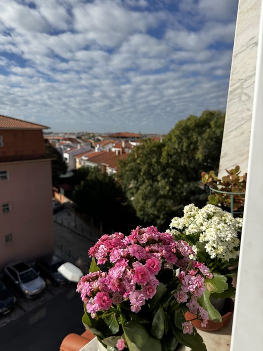 Vende-se  T3 Abóboda