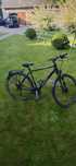 Rower Pegasus Solero