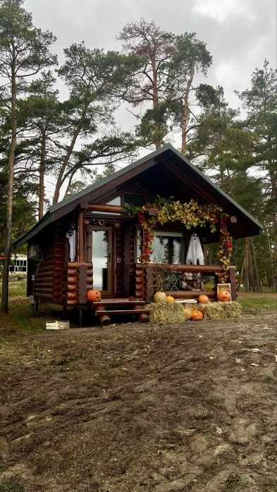 Подобова оренда. Будинок/котедж зі зрубу на березі моря (c.Глібівка)