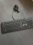 Клавиатура, razer