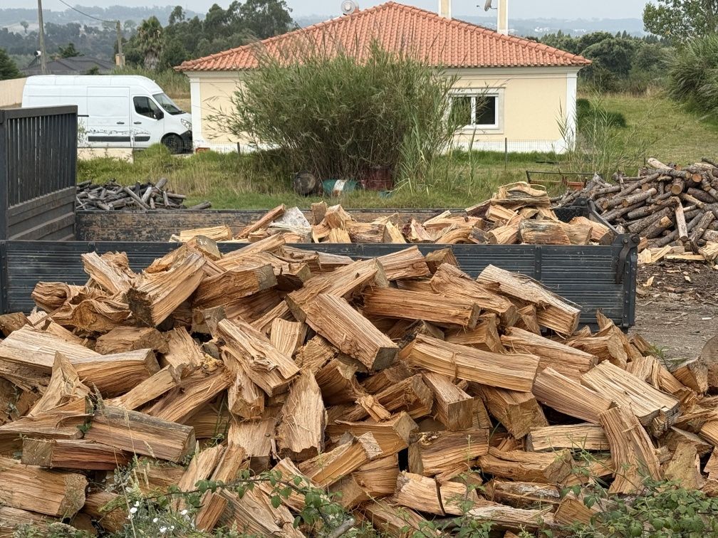 Lenha de pinho para lareira