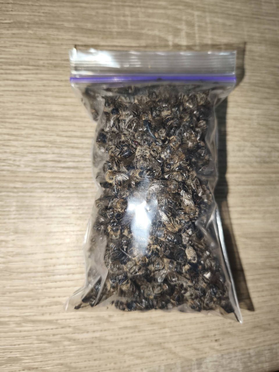 Пчелиный подмор продам