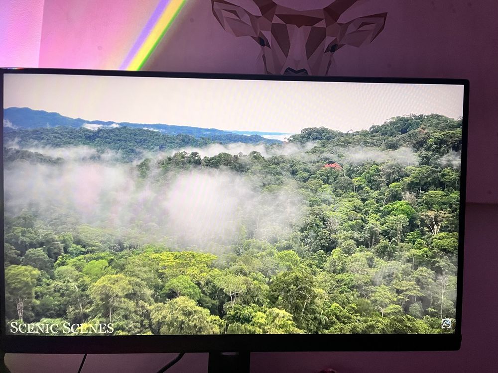 Monitor MSI Optix MAG274R2 27 cali 1920x1080p IPS 165Hz 1ms
