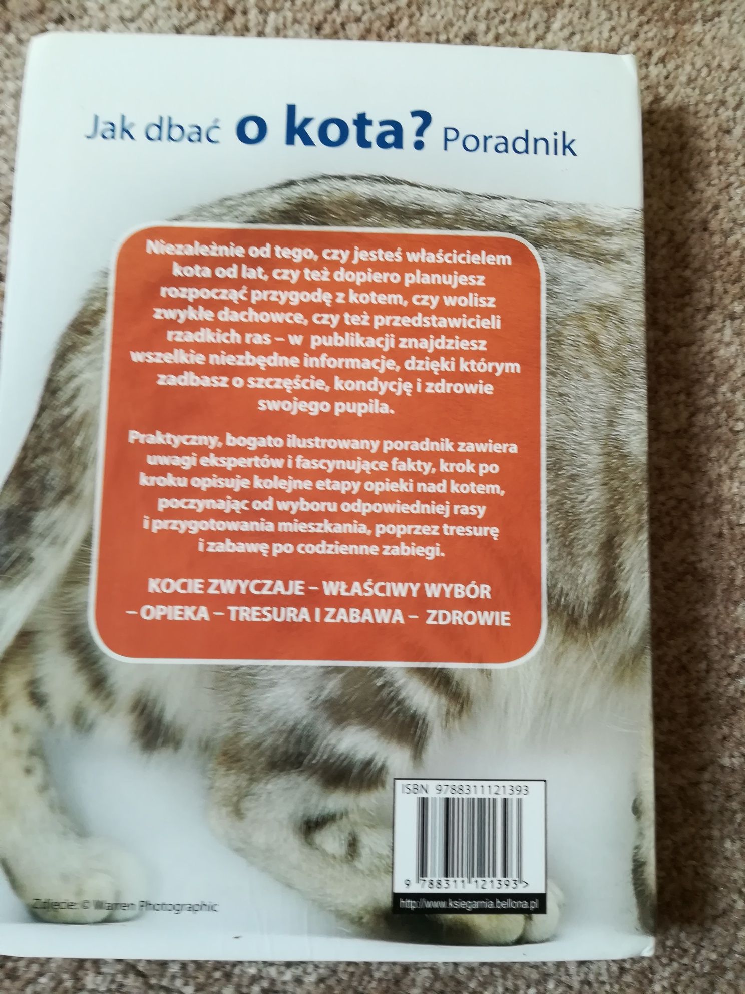 Poradnik jak dbać o kota