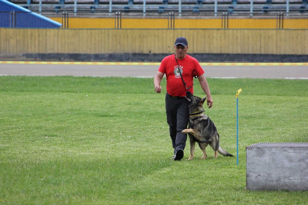 Дресирування собак. Клуб РОКСС. Заняття з інструктором-кінологом.
