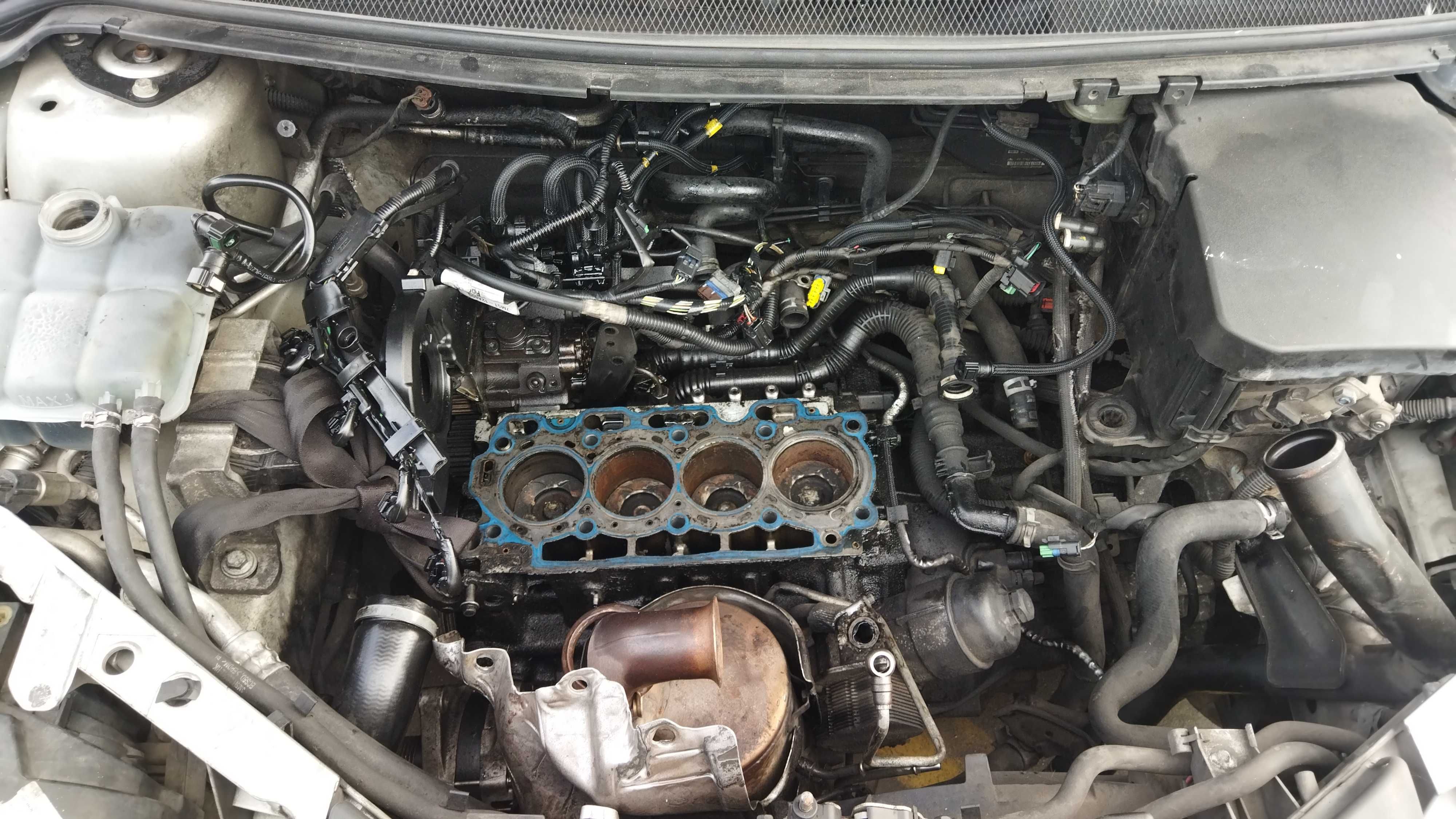 Ford Focus trend