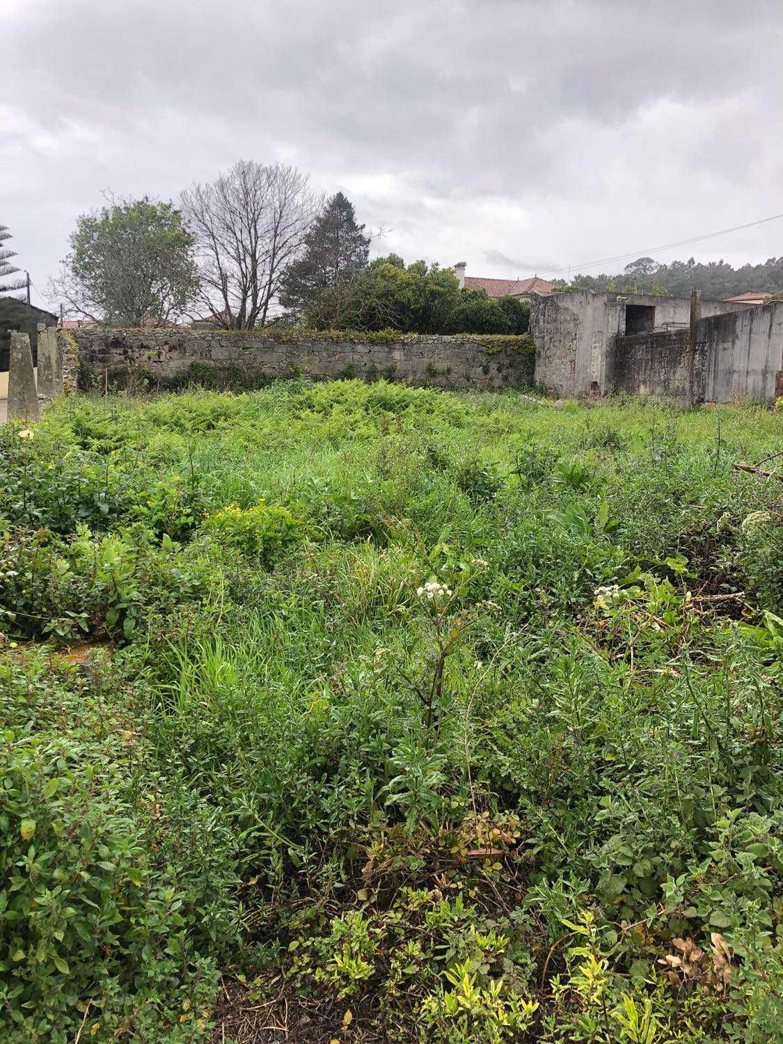 Venda de terreno com ruína, Vila Nova de Anha, Viana do Castelo.