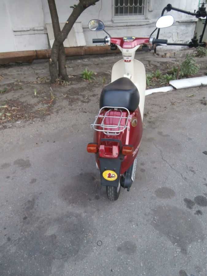 мопед скутер honda eve 50