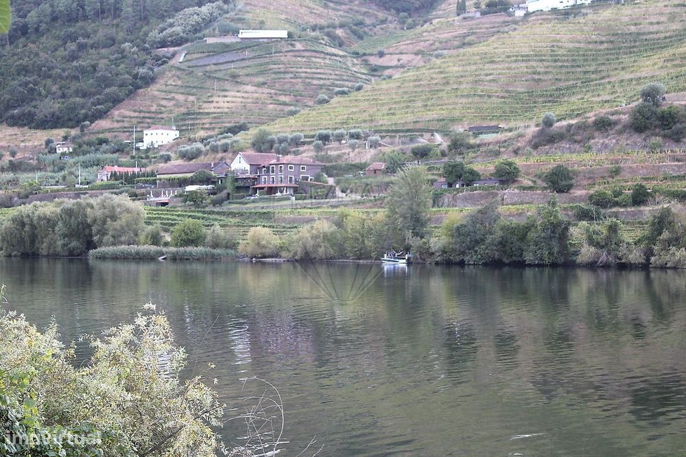 Terreno  para venda