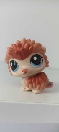 Jeżyk LPS littlest pet shop