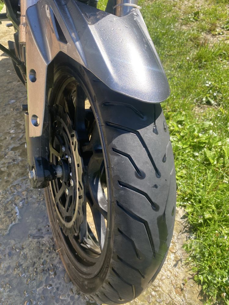 Senke Leopard 250