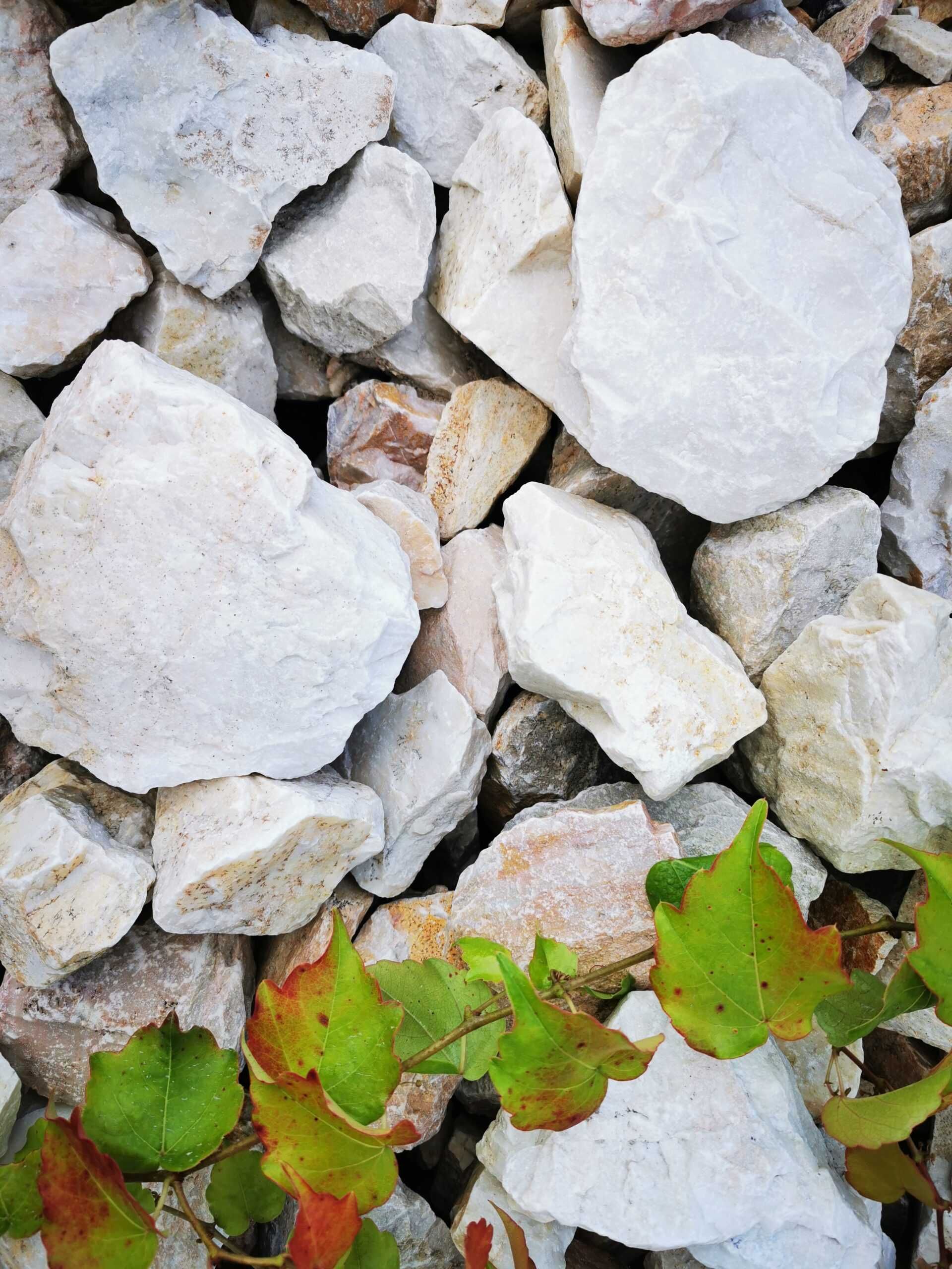 Kamień Gabionowy Marmurowy
