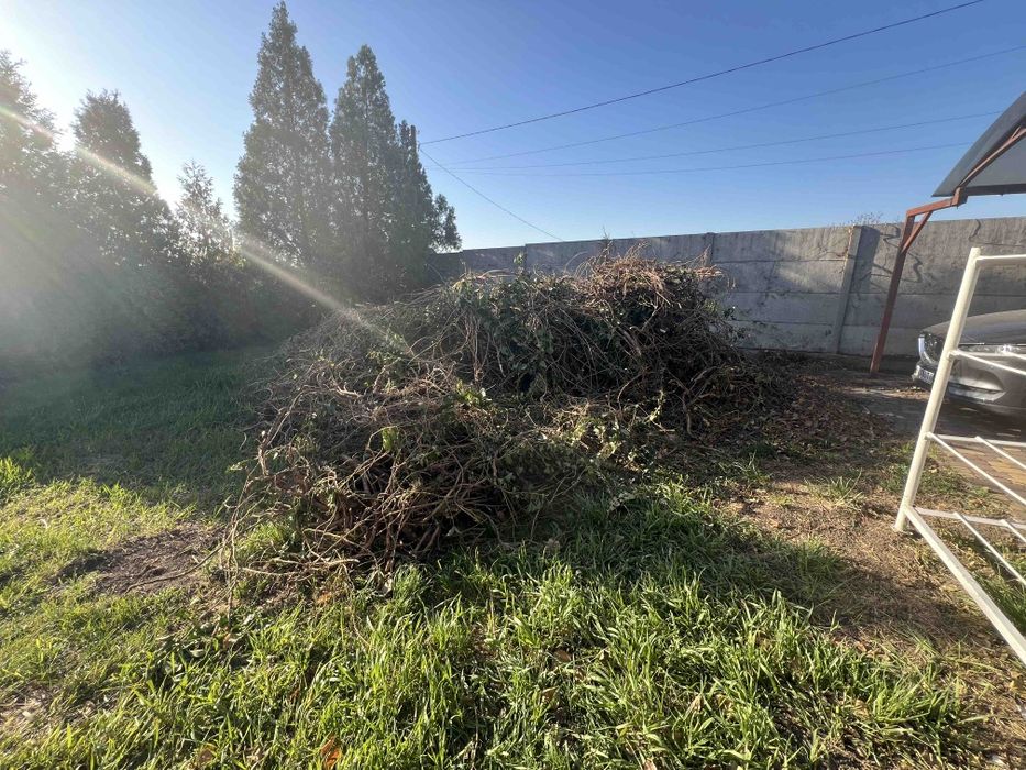 Вывоз веток уборка территории