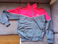 Bluza dresowa Adidas, vintage, szaro bordowa, r. S