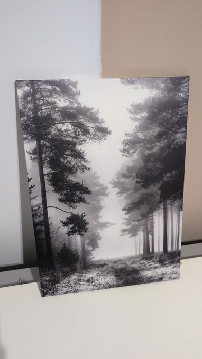 Obraz Ikea Pjatteryd Las szary 50x70 cm