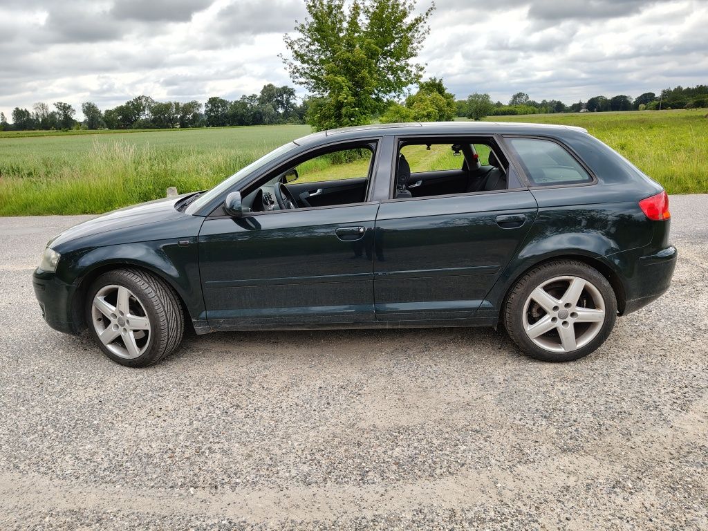 Audi A3 8P 1.6 Benzyna