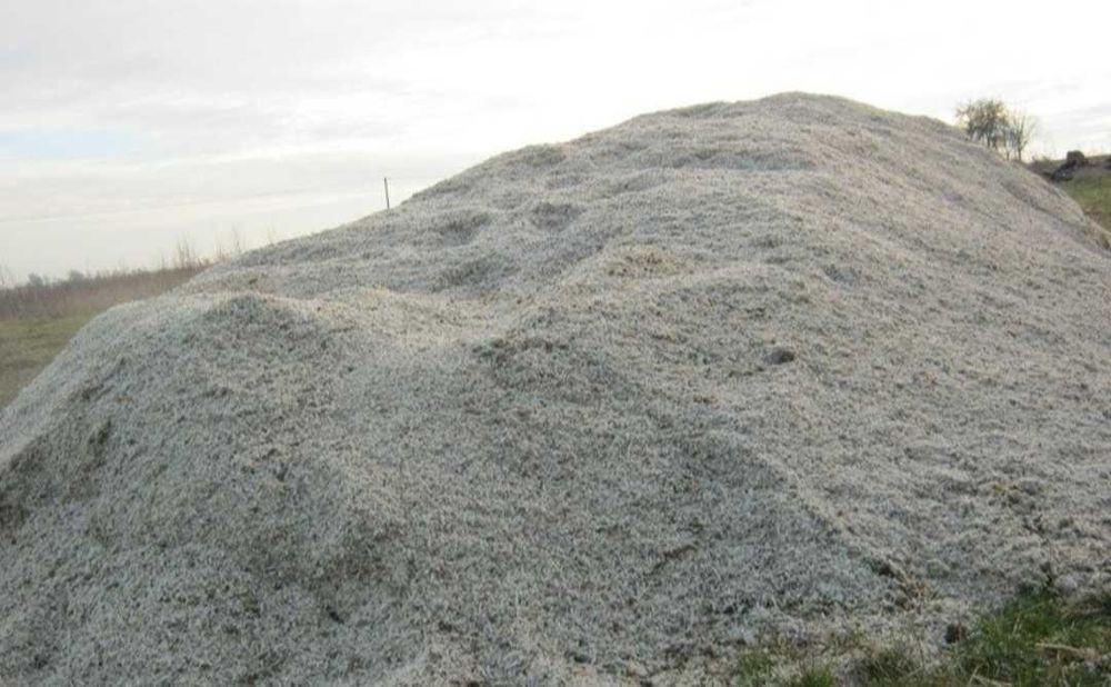 Wysłodka buraczana mokra