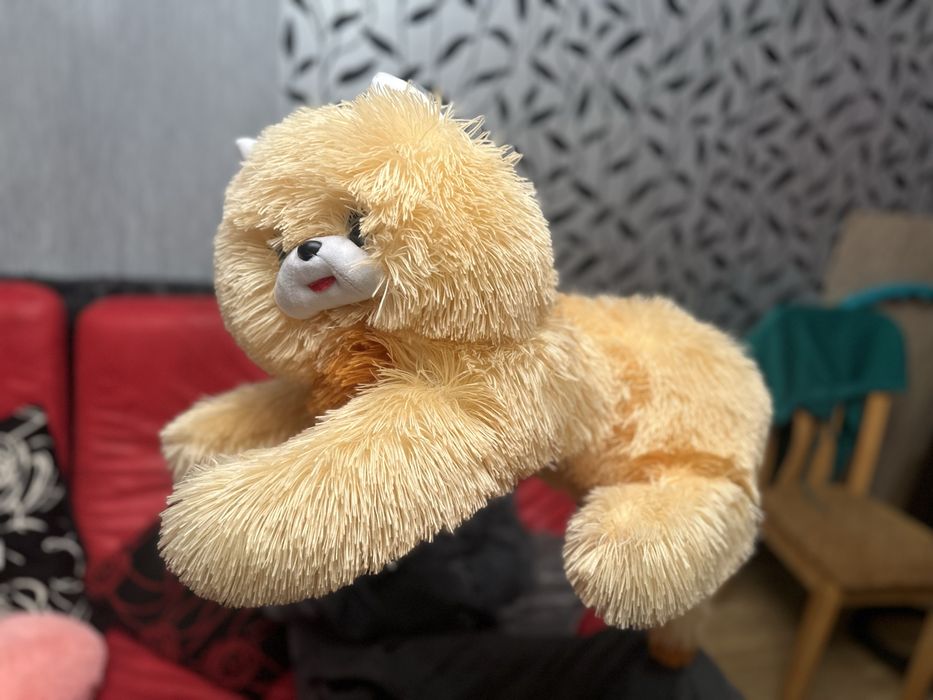 Мʼяка іграшка котик