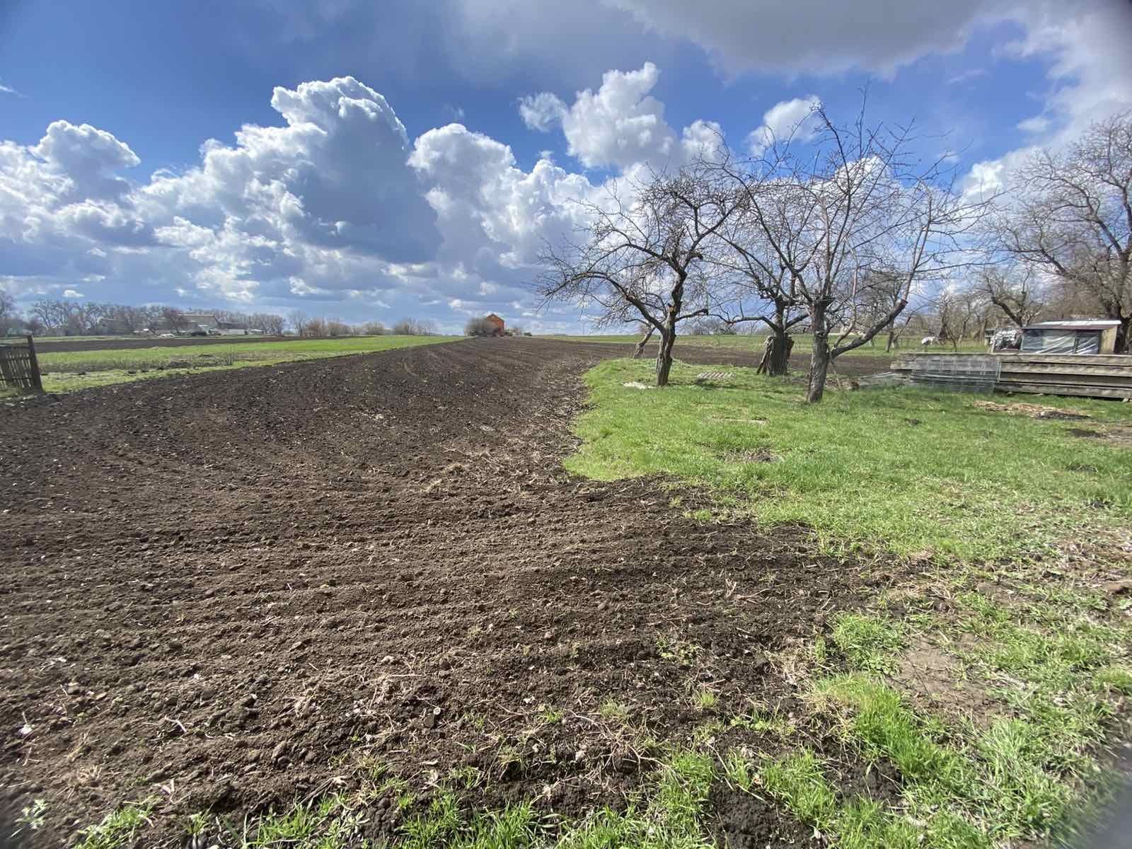 Ділянка та будинок с. Тростинка Обухівський (Васильківський) р-н