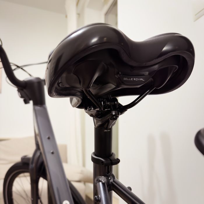 Rower TREK Verve+ 1 LT-M (z torbą na bagażnik)