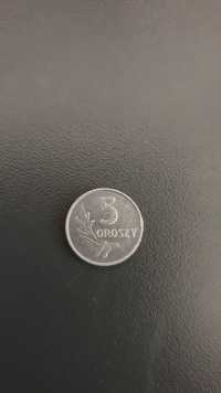 Moneta 5 groszy z 1962 roku