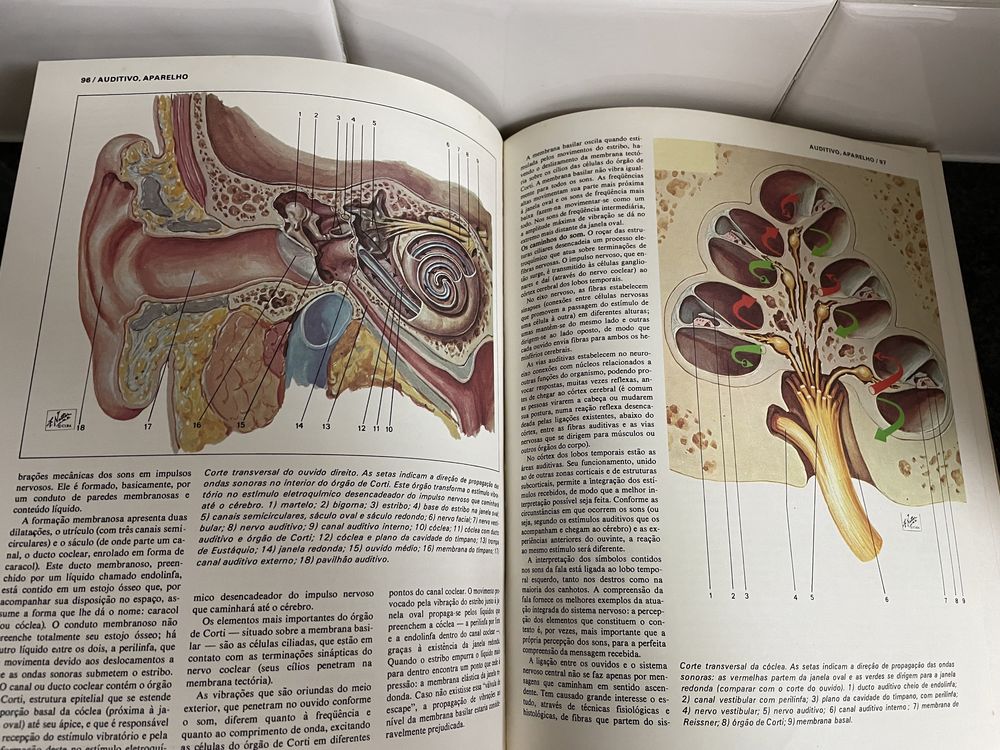 Grande enciclopédia médica - 6 volumes