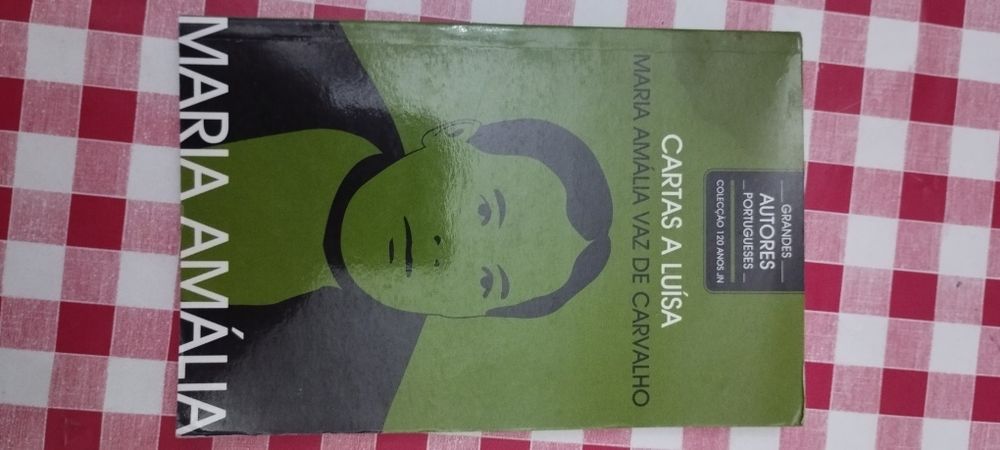 Maria amalia Vaz de Carvalho - cartas a Julia