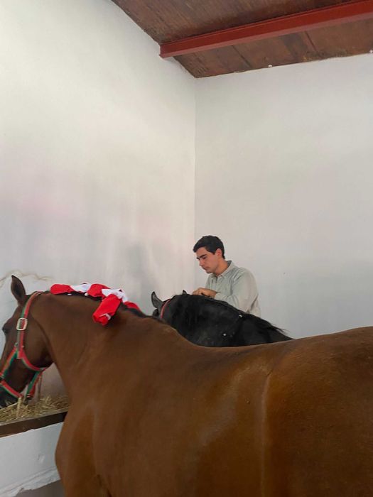 Entrançador de Cavalos