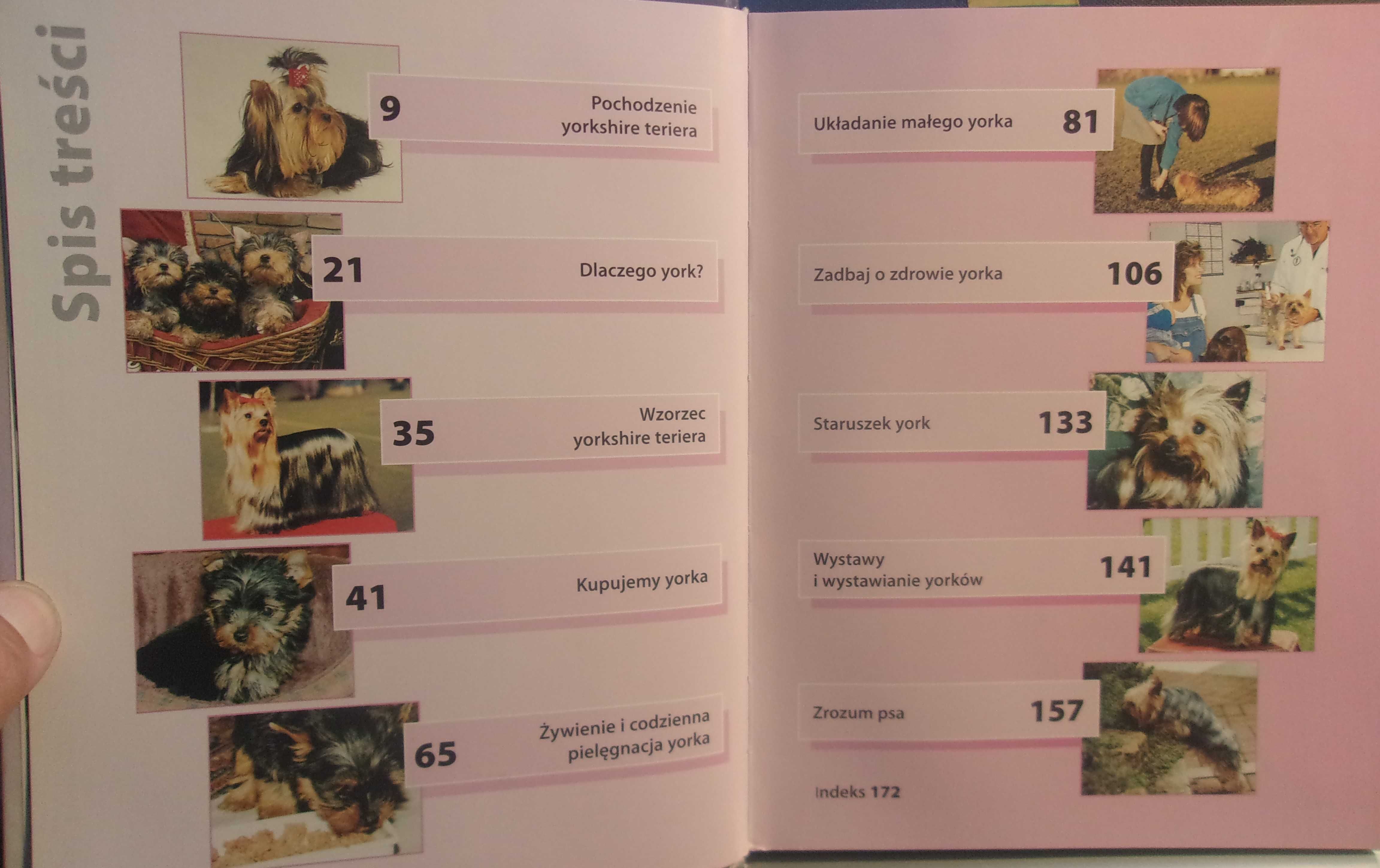 Yorkshire terier - Rachel Keys - książka 174 str. / spis treści