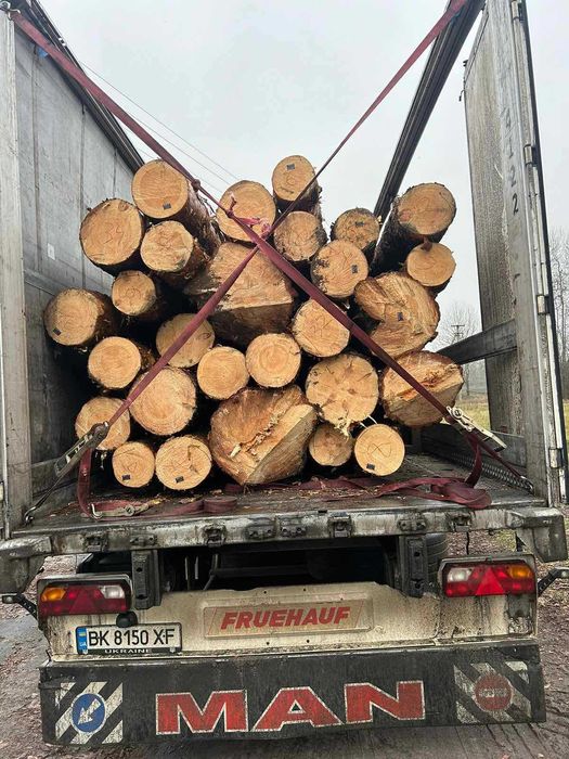 Ліс кругляк сосновий свіжопил з доставкою