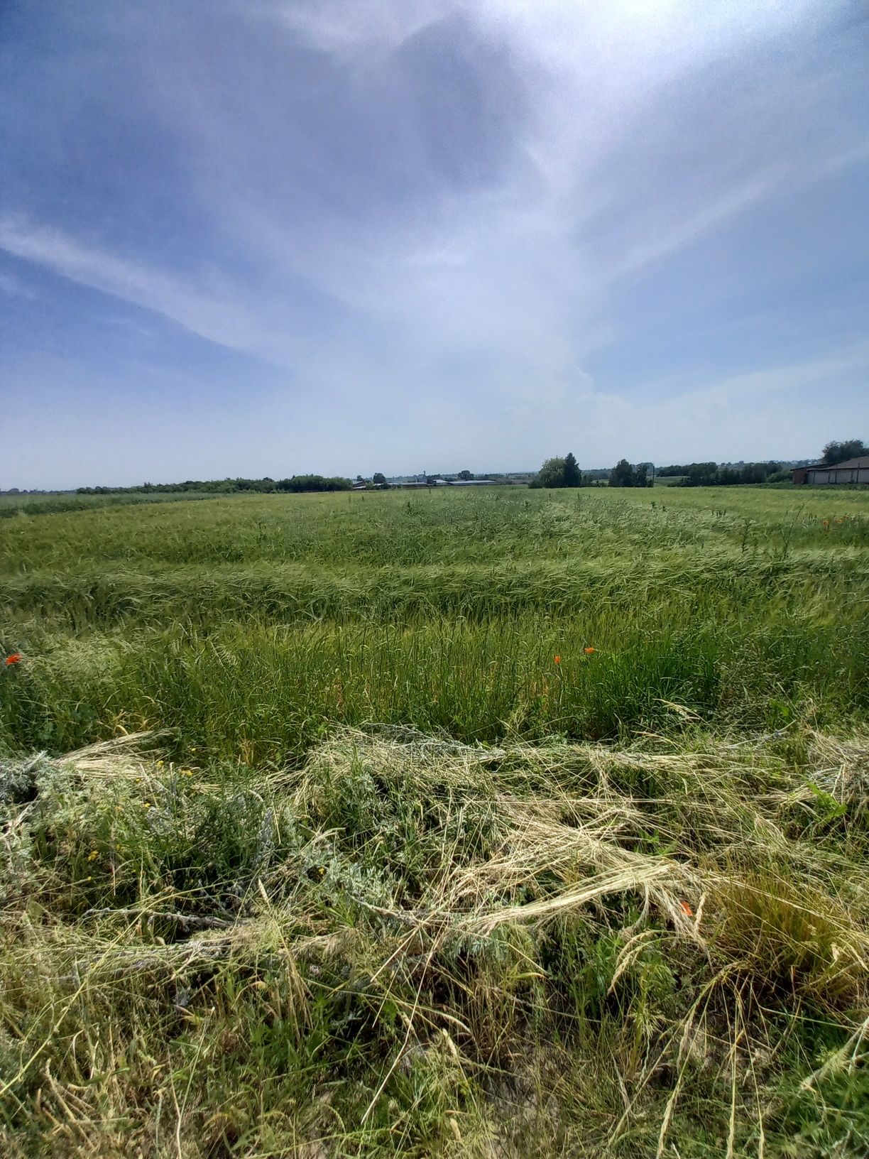 Продам земельну ділянку- Обмін