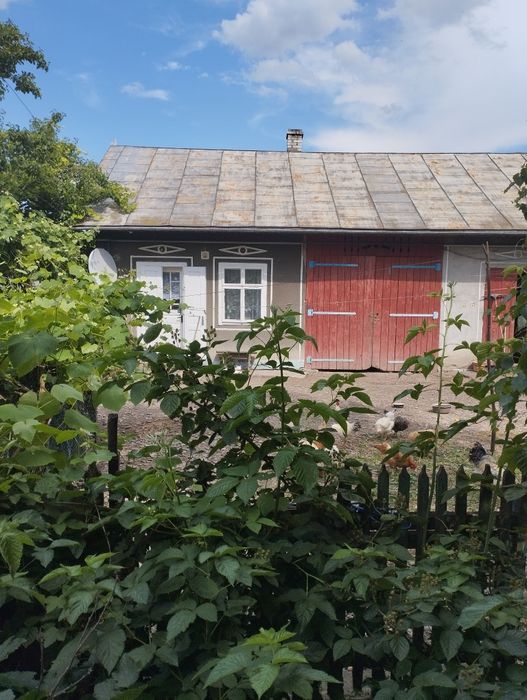 Продається господарство