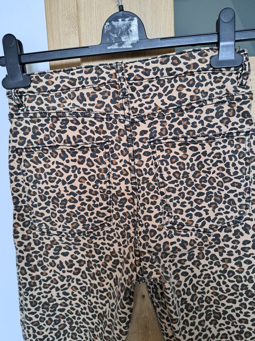 Spodnie ala jeans Panterka