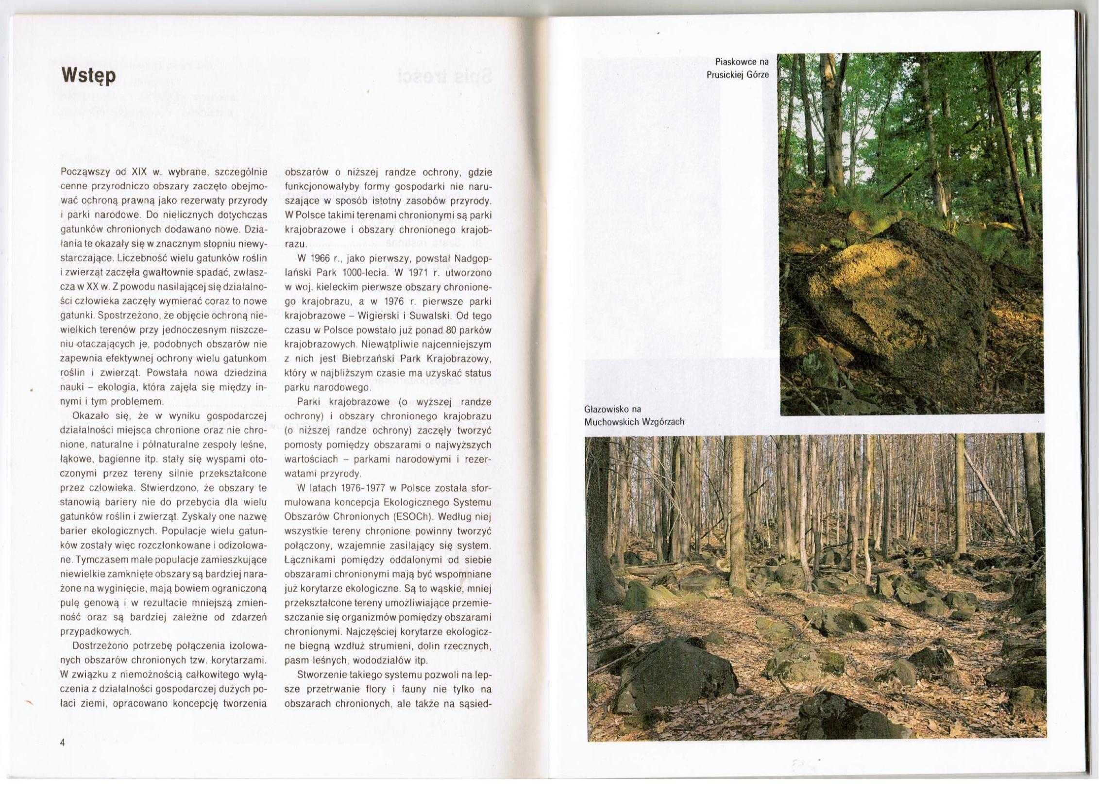 Park Krajobrazowy Chełmy na Pogórzu Kaczawskim, ok. 2001