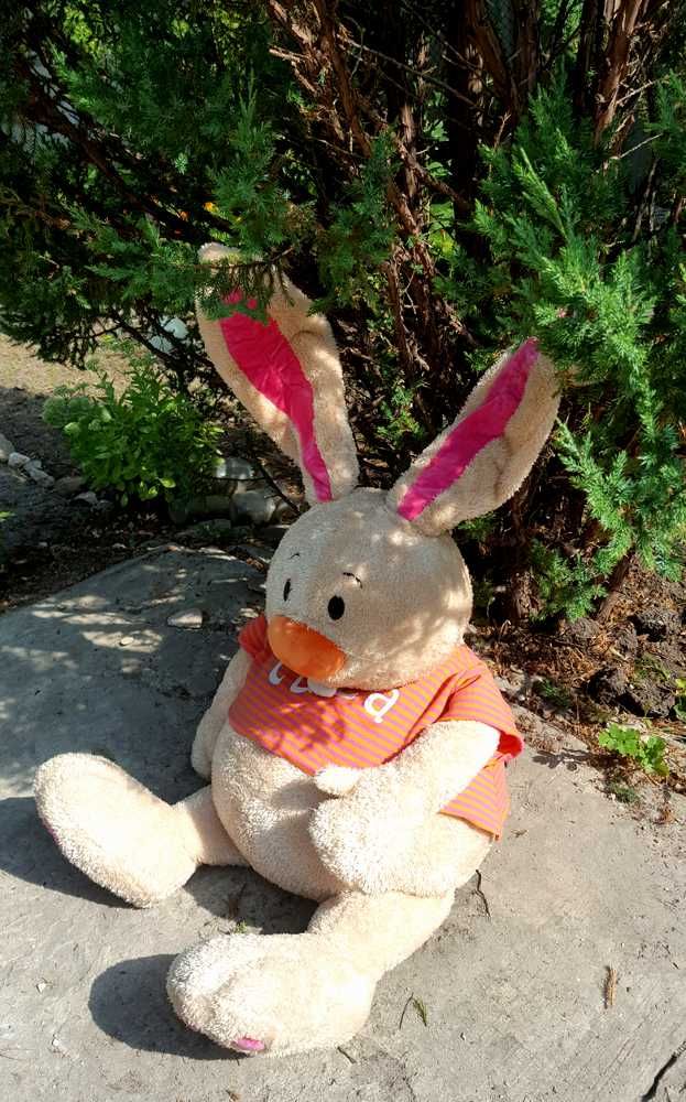 Коллекционный гигантский заяц кролик мистер люка anna club голландия