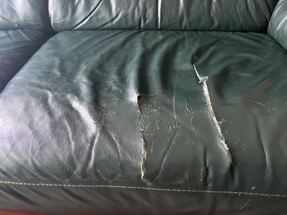 Sofa de couro verde escuro