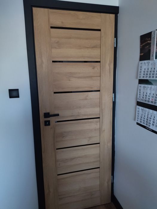 Ościerznica przylgowa czarna 70p