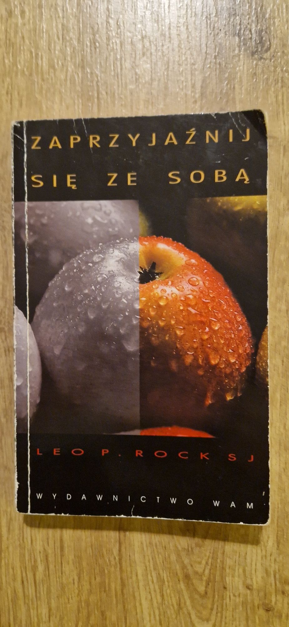 Książka Zaprzyjaźnij się ze sobą Leo P. Rock SJ Wydawdnictwo Wam