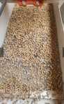 Pellet drzewny A1 6mm od producenta