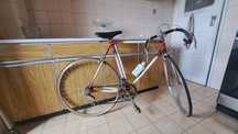 Bicicleta Sangal