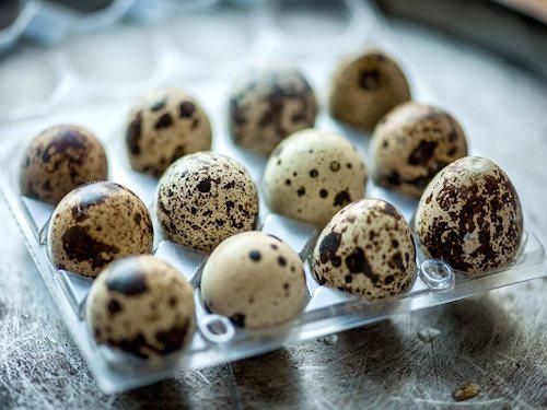 Перепелині яйця