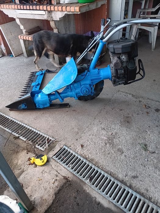 Gadanheira de pente.   Ceifeira     com motor.   Cotieeme