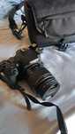 Canon EOS 250D nova