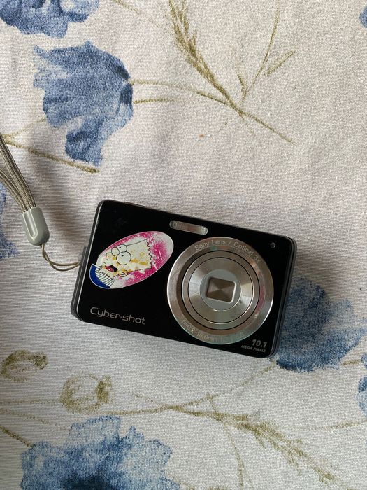 cyber shot 10.1 mega pixels